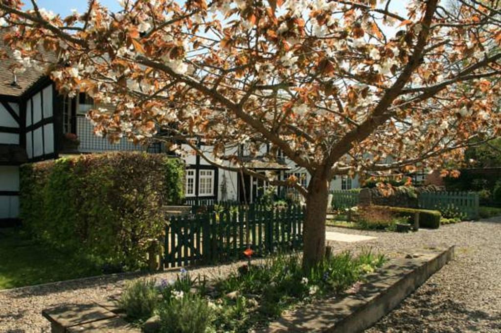 Peel Cottage, Dilwyn Zimmer foto